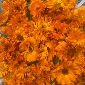 May include: A dense collection of vibrant orange calendula flowers with layered, ruffled petals. The blossoms are packed closely together, displaying various shades of deep orange and yellow centers, creating a textured, floral arrangement.