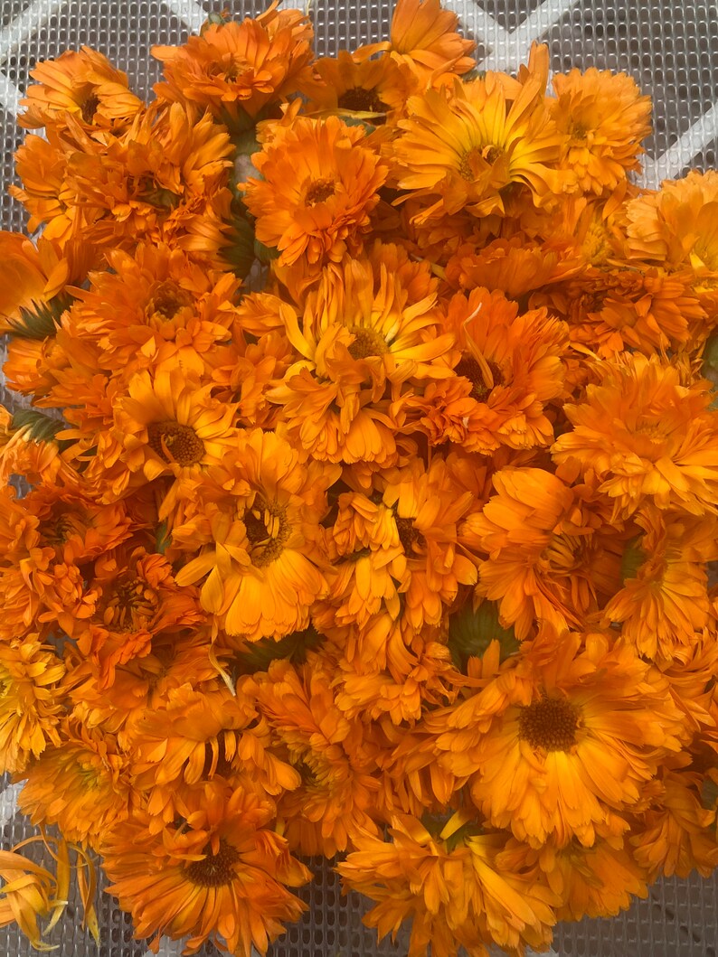 May include: A dense collection of vibrant orange calendula flowers with layered, ruffled petals. The blossoms are packed closely together, displaying various shades of deep orange and yellow centers, creating a textured, floral arrangement.
