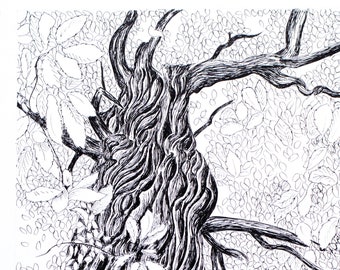 Digital Download Twisted Sweet Chestnut Tree Black Ink Drawing - Bold Pen Wall Art - jpg