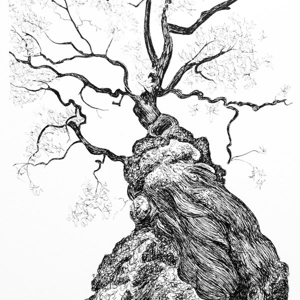 Pen and Ink Trees - Etsy