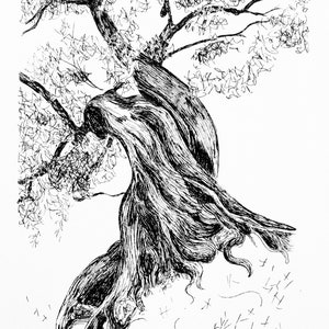 Digital Download Twisted Wide Trunk Olive Tree Black Ink Drawing - Modern Printable Pen Wall Art - jpg