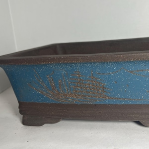May include: A rectangular blue and brown ceramic bonsai pot with a decorative design. The pot has a textured surface and a slightly raised rim.