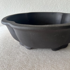 May include: A dark gray, ceramic bonsai pot with a unique, scalloped rim and a low-profile design. The pot has a matte finish and is supported by three small feet. This container is ideal for showcasing small trees and plants.