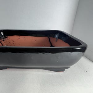 May include: A rectangular bonsai pot with a glossy black exterior and a reddish-brown interior. The pot has a slightly curved shape and sits on four small feet. The overall design is simple and elegant.
