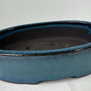 May include: An oval-shaped ceramic bonsai pot featuring a deep blue glaze with darker blue and black accents along the rim. The interior of the pot is matte black and includes drainage holes at the base, with a smooth, curved exterior profile.