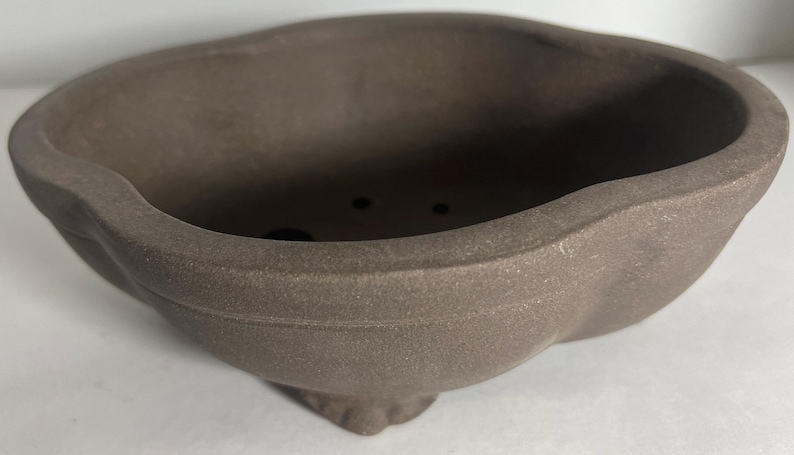 May include: A brown, oval-shaped bonsai pot with a textured surface. The pot has a unique, scalloped rim and three drainage holes. The base features three small feet. This container is designed for cultivating miniature trees.