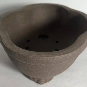 May include: A brown, ceramic bonsai pot with a unique, scalloped rim. The pot has a textured surface and several drainage holes at the bottom. The pot is designed for growing small trees and plants.