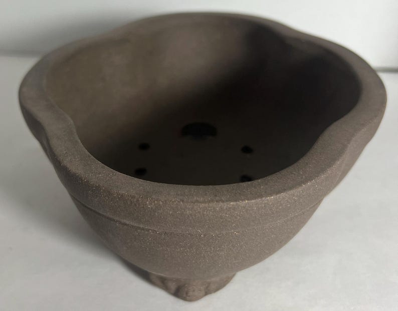May include: A brown, ceramic bonsai pot with a unique, scalloped rim. The pot has a textured surface and several drainage holes at the bottom. The pot is designed for growing small trees and plants.