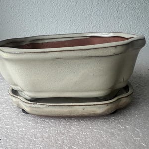 May include: An oval-shaped ceramic bonsai pot with a cream-colored exterior glaze and a contrasting terracotta-colored interior. The pot features a wide, flared rim, a slightly textured surface, and rests on a matching oval-shaped drainage tray.