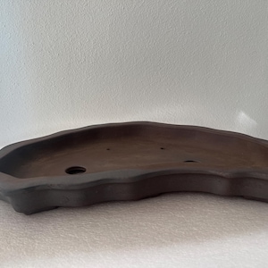 May include: A dark brown, low-profile ceramic bonsai pot with an irregular, organic kidney-shaped silhouette. The vessel features a smooth, matte finish, a wide open top, and multiple drainage holes visible on the interior base of the container.