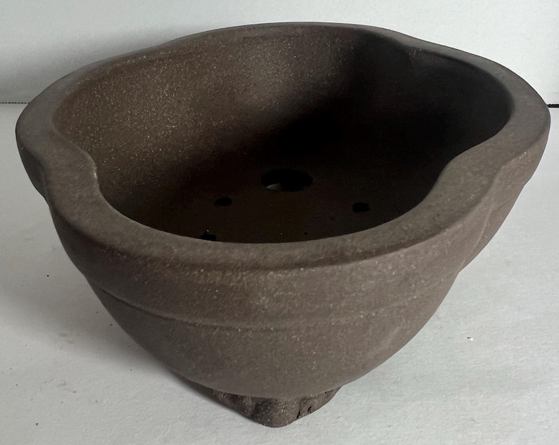 May include: A brown ceramic bonsai pot with a textured surface. The pot has a wide, oval shape with a slightly flared rim and several drainage holes. The base has a decorative, textured design.