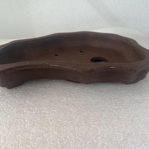 May include: A low-profile, dark brown ceramic bonsai pot with an irregular, organic shape and a matte, textured finish. The shallow container features a wide, undulating rim and multiple drainage holes visible on the interior base surface.