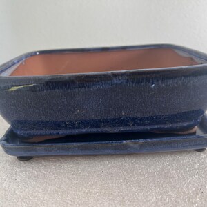 May include: A rectangular ceramic bonsai pot with a deep blue glazed exterior and a smooth, light terracotta-colored interior. The pot sits on a matching rectangular blue glazed saucer with small feet, designed to catch excess water drainage.