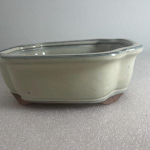 May include: A rectangular ceramic bonsai pot with rounded corners and a flared rim. The exterior features a smooth, off-white glaze with subtle blue-grey accents along the top edge. The base is unglazed, showing a reddish-brown clay texture.