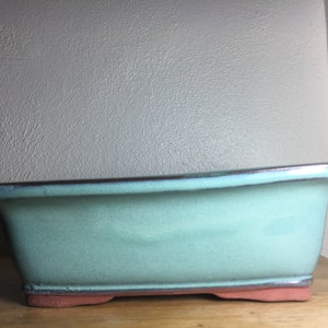 May include: A light green rectangular bonsai pot with a brown rim and three small feet. The pot is made of ceramic and has a smooth, glazed finish.