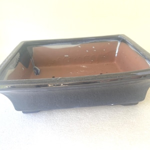 May include: A square bonsai pot with a dark blue exterior and a reddish-brown interior. The pot has a slightly flared shape and a glossy finish. It is designed for planting and cultivating bonsai trees.