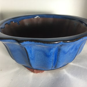 May include: A blue ceramic bonsai pot with a scalloped rim and a dark brown glaze. The pot has a slightly rounded shape and a wide base.