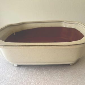 May include: A rectangular, off-white ceramic bonsai pot with a dark reddish-brown interior. The pot has a slightly scalloped rim and small feet. The exterior has a speckled texture, and the rim is accented with a thin, darker line.