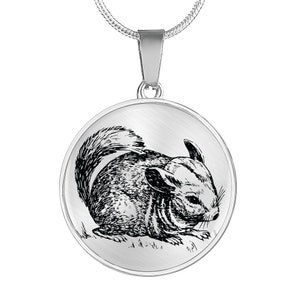 May include: A silver necklace with a round pendant featuring a black and white line drawing of a chinchilla.