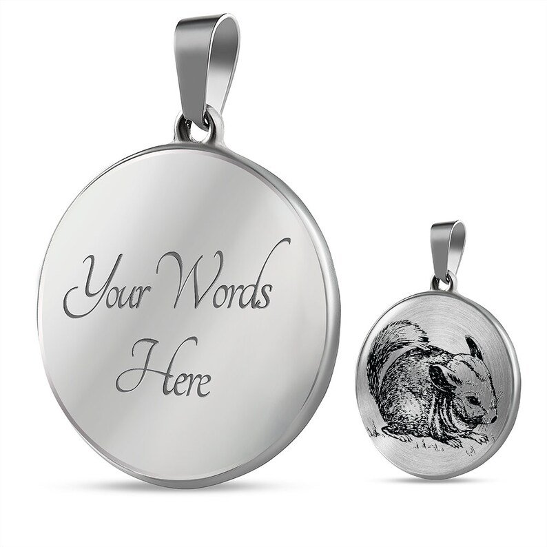 May include: Silver pendant necklace with a round disc. One side of the disc has the words "Your Words Here" engraved on it. The other side of the disc has a black and white image of a chinchilla.
