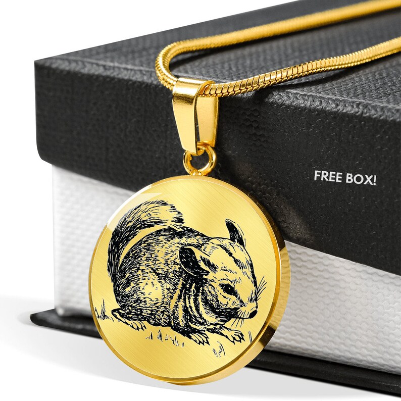 May include: Gold necklace with a round pendant featuring a black and white line drawing of a chinchilla. The pendant is on a gold chain.