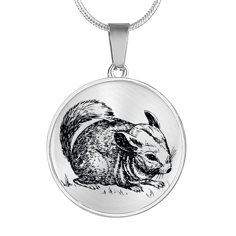 May include: A silver necklace with a round pendant featuring a black and white line drawing of a chinchilla.