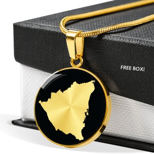 May include: Gold necklace with a round pendant featuring a black and gold outline of the state of  Brazil. The pendant is on a black box with the words "FREE BOX!" printed on it.
