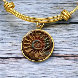 Ammonite fossil Bracelet (2D image)
