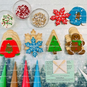 Christmas Cookie Decorating Kit, Christmas DIY Cookie Kit, (Large Cookies), ***INCLUDES 25 ITEMS*** With 5 Icing Bags & 3 Deluxe Sprinkles!!