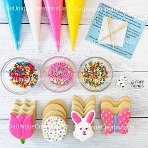 Kit de décoration de biscuits de Pâques lapin, kit de décoration de biscuits bricolage printanier, ** COMPREND 25 ARTICLES ** avec un bonus gratuit !!!
