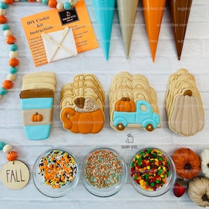 Fall Cookie Decorating Kit, Thanksgiving DIY Cookie Kit ***INCLUDES 24 ITEMS*** Zoom Party Favors, (Large Cookies)