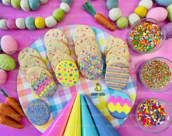 Easter Cookie Decorating Kit, DIY Spring Sugar Cookie Decorating Kit, **INCLUDES 24 ITEMS**, (Large Cookies)… with Deluxe Sprinkles!!!