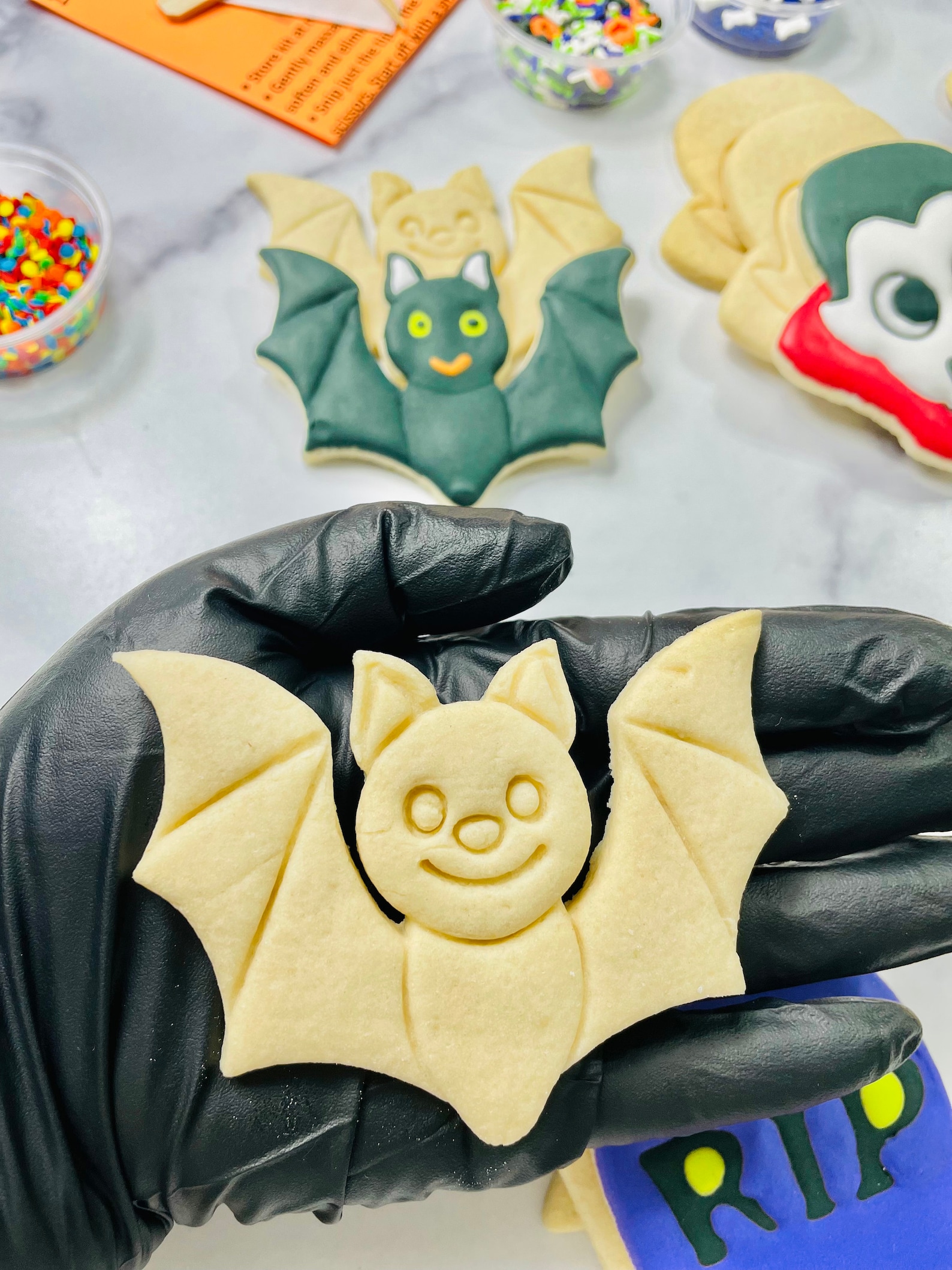 Halloween Cookie Decorating Kit INCLUDES 24 ITEMS Etsy