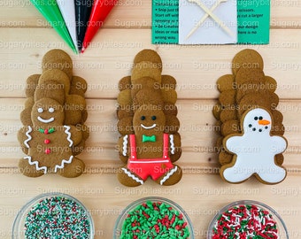 Gingerbread Cookie Decorating Kit, Christmas DIY Cookie Kit, (Large Cookies), ***INCLUDES 24 ITEMS***With 4 Icing Bags & 3 Deluxe Sprinkles!