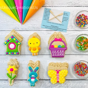 Spring Cookie Decorating Kit, DIY Cookie Kit, **INCLUDES 25 ITEMS ...