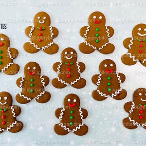 Gingerbread Man Decorated Christmas Cookies, 12 Large Cookies