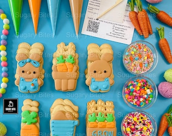 Easter Cookie Kit | Easter Cookies | Bunny & Carrot DIY Cookie Kit | Easter Basket Gift | Spring Party Activity| 24 Piece Kit
