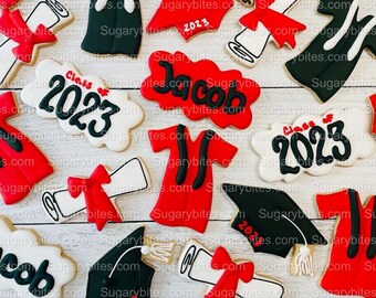Biscotti per la laurea, festa di laurea (biscotti grandi), include 12 biscotti decorati!!