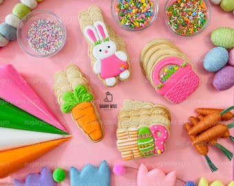 Easter Cookie Decorating Kit, DIY Spring Sugar Cookie Decorating Kit, **INCLUDES 24 ITEMS**, (Large Cookies)… with Deluxe Sprinkles!!!