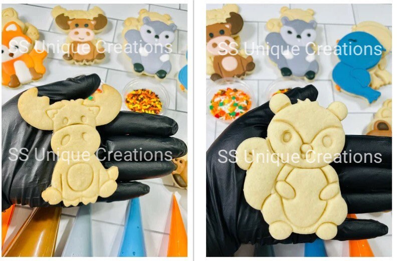 Woodland Animal Cookie Decorating Kit INCLUDES 24 Etsy
