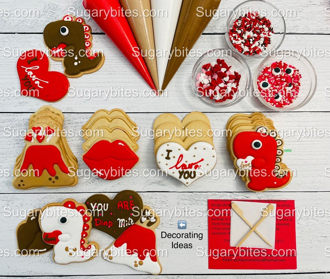 Valentines Cookie Decorating Kit, Dinosaur DIY Cookie Kit, INCLUDES 24