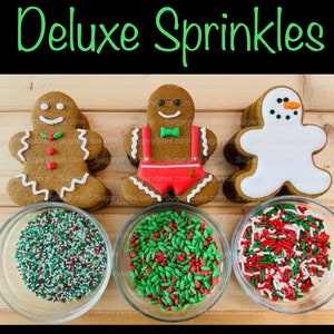 Gingerbread Cookie Decorating Kit, Christmas DIY Cookie Kit, (large