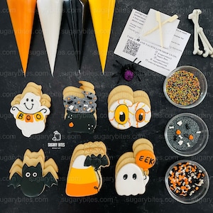 Halloween Cookie Decorating Kit, DIY Cookie Kit, (Large Cookies) ***INCLUDES 24 ITEMS*** With 4 Icing Bags & 3 Deluxe Sprinkle!!