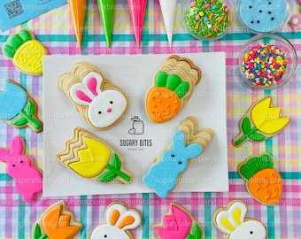 Kit para decorar galletas de Pascua, kit para decorar galletas de azúcar de primavera (hágalo usted mismo), **INCLUYE 24 ARTÍCULOS**, (Galletas grandes)... ¡con chispas de colores de lujo!