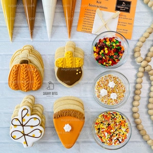 Fall Cookie Decorating Kit, ***INCLUDES 24 ITEMS*** Zoom Party Favors, Assorted Shaped Cookie Kit, (Large Cookies)