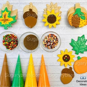 Fall Cookie Decorating Kit, Thanksgiving cookie kit  ***INCLUDES 24 ITEMS*** Zoom Party Favors, Assorted Shaped Cookie Kit, (Large Cookies)