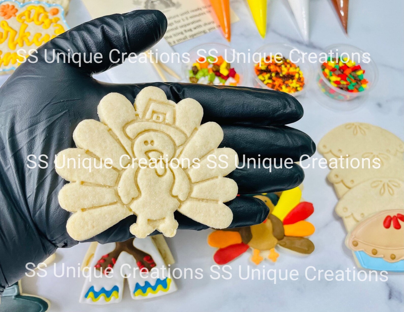 DIY Thanksgiving Cookie Decorating Kit, Fall DIY Baking Set, Turkey ...