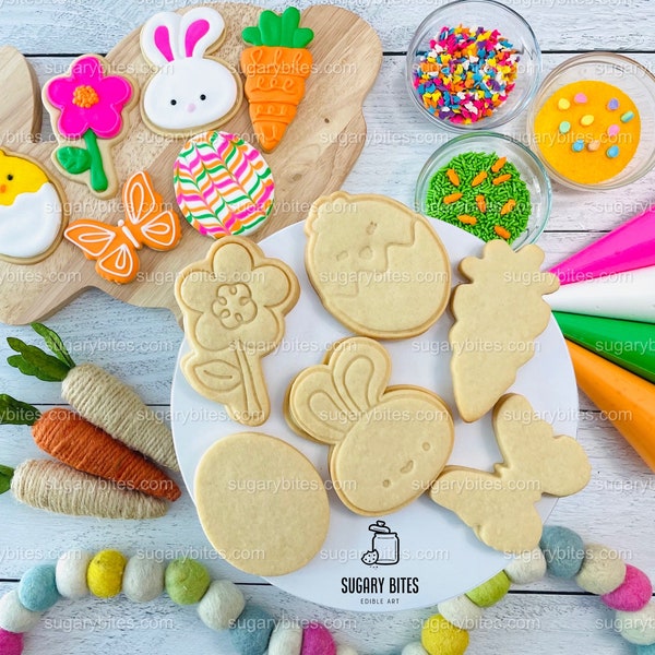 Easter Cookie Decorating Kit, DIY Spring Sugar Cookie Decorating Kit, **INCLUDES 24 ITEMS**, (Large Cookies)… with Deluxe Sprinkles!!!
