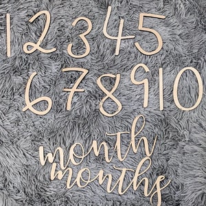 Monthly Milestone Numbers / Baby Monthly Pictures / Photo Props for Baby / Baby Shower Gift / Gender Neutral / Baby Boy / Baby Girl