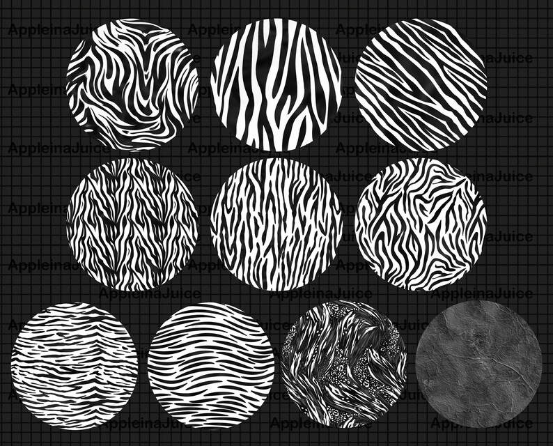 Procreate Texture Scales. Zebra Brush. Procreate Scale Etsy